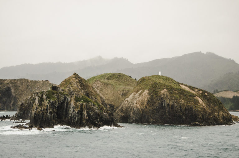 New Zealand trip cost and prices how to plan your budget?