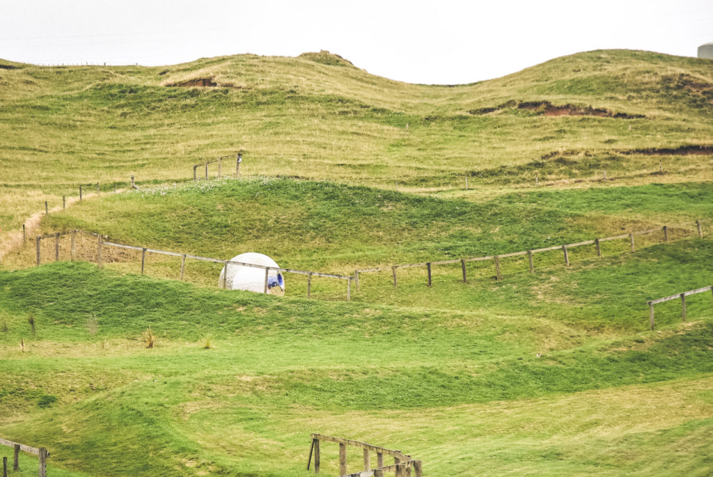 things to do in rotorua - zorbing