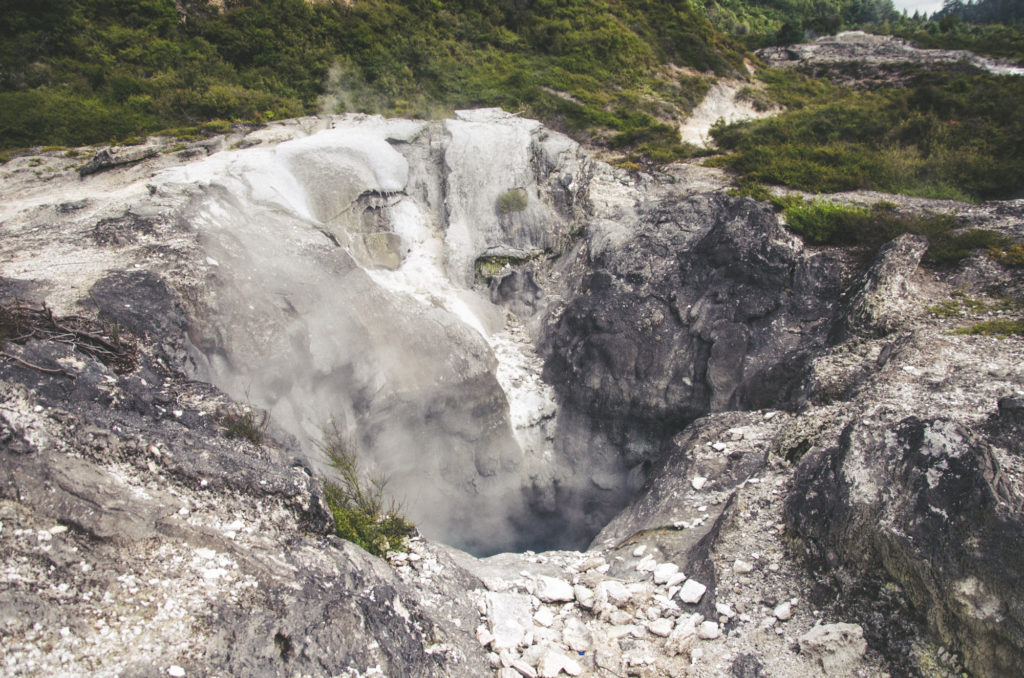 things to do in rotorua - te puia