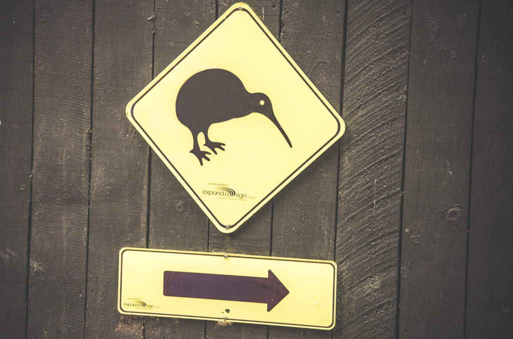 things to do in rotorua - rainbow springs