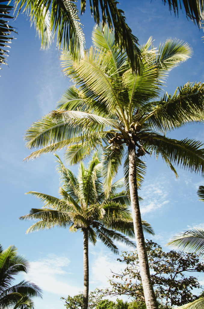 Planning a honeymoon, romantic gateway, diving holidays or eco-friendly stay in Fiji? Find out which island suits best your Fiji vacations.